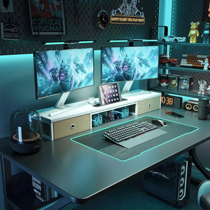 Home Office Dual Monitor Stand with 2 Drawers
