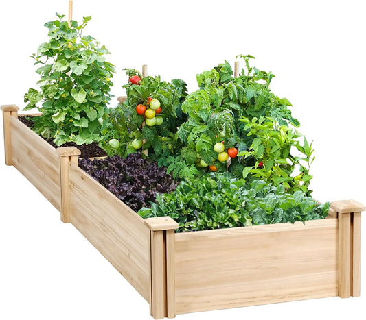 Natural Wood 8x2ft Divisible Raised Garden Bed for Flowers Vegetables Herbs Outdoor Planting
